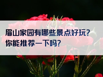 眉山家园有哪些景点好玩？你能推荐一下吗？
