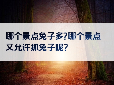 哪个景点兔子多？哪个景点又允许抓兔子呢？