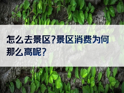 怎么去景区？景区消费为何那么高呢？