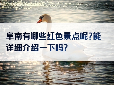阜南有哪些红色景点呢？能详细介绍一下吗？