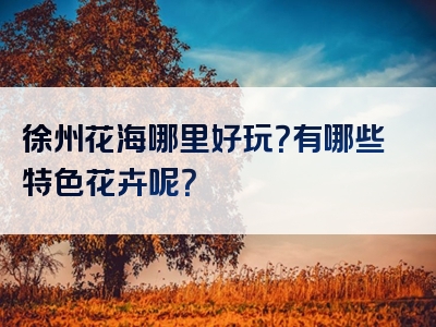 徐州花海哪里好玩？有哪些特色花卉呢？