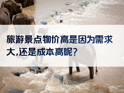 旅游景点物价高是因为需求大，还是成本高呢？