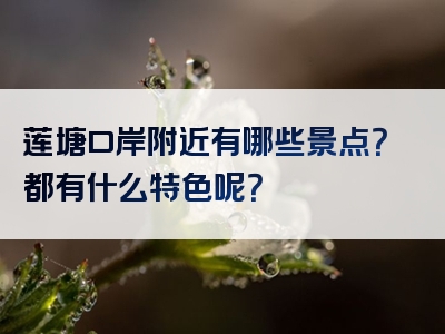 莲塘口岸附近有哪些景点？都有什么特色呢？
