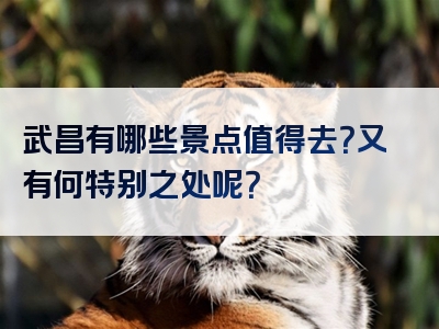 武昌有哪些景点值得去？又有何特别之处呢？