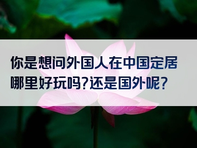 你是想问外国人在中国定居哪里好玩吗？还是国外呢？