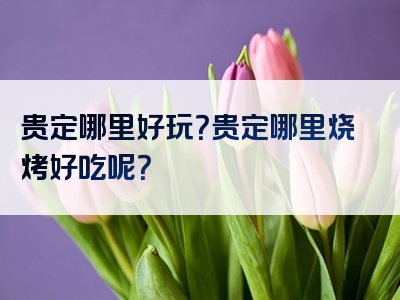 贵定哪里好玩？贵定哪里烧烤好吃呢？