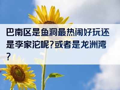 巴南区是鱼洞最热闹好玩还是李家沱呢？或者是龙洲湾？