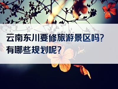 云南东川要修旅游景区吗？有哪些规划呢？