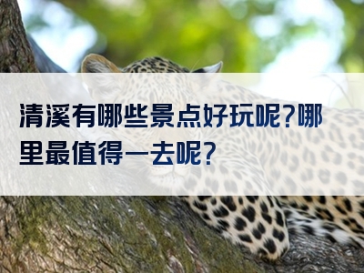 清溪有哪些景点好玩呢？哪里最值得一去呢？