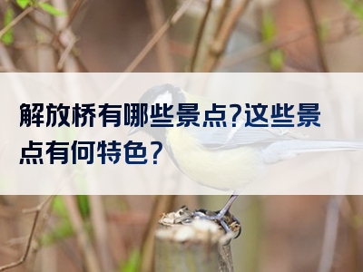 解放桥有哪些景点？这些景点有何特色？