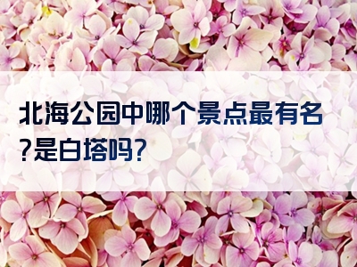 北海公园中哪个景点最有名？是白塔吗？