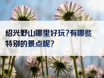 绍兴野山哪里好玩？有哪些特别的景点呢？