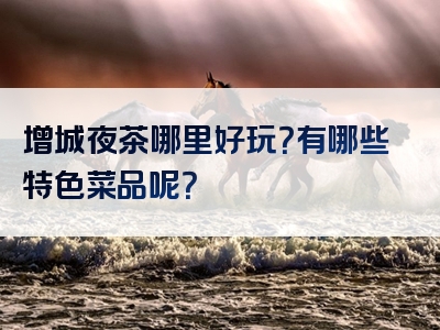 增城夜茶哪里好玩？有哪些特色菜品呢？