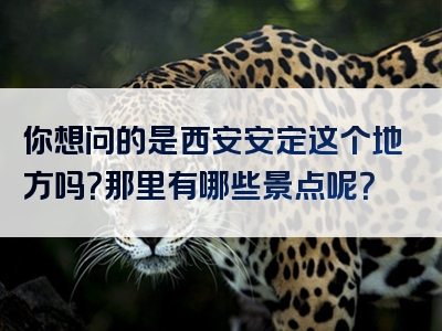 你想问的是西安安定这个地方吗？那里有哪些景点呢？