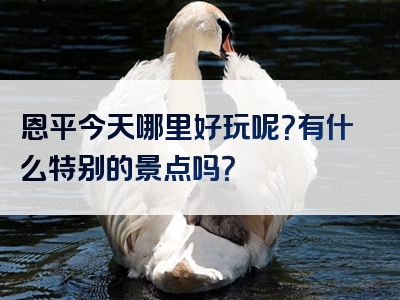 恩平今天哪里好玩呢？有什么特别的景点吗？