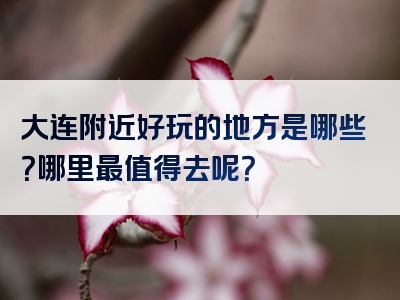 大连附近好玩的地方是哪些？哪里最值得去呢？