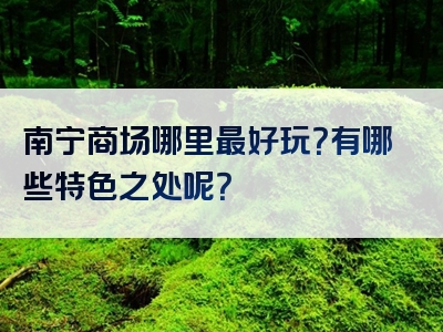 南宁商场哪里最好玩？有哪些特色之处呢？