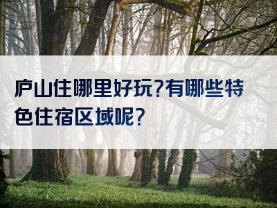 庐山住哪里好玩？有哪些特色住宿区域呢？