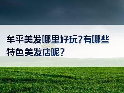 牟平美发哪里好玩？有哪些特色美发店呢？