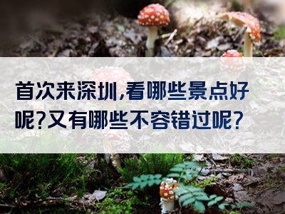 首次来深圳，看哪些景点好呢？又有哪些不容错过呢？
