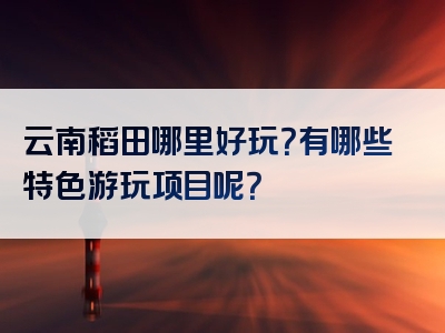云南稻田哪里好玩？有哪些特色游玩项目呢？