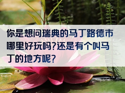 你是想问瑞典的马丁路德市哪里好玩吗？还是有个叫马丁的地方呢？