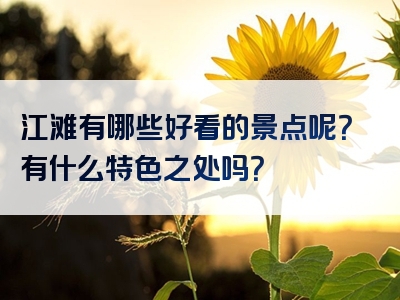江滩有哪些好看的景点呢？有什么特色之处吗？