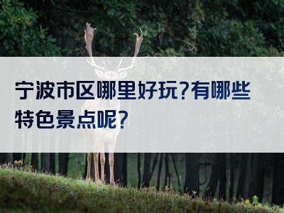 宁波市区哪里好玩？有哪些特色景点呢？