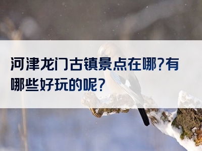 河津龙门古镇景点在哪？有哪些好玩的呢？
