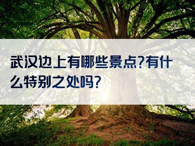 武汉边上有哪些景点？有什么特别之处吗？