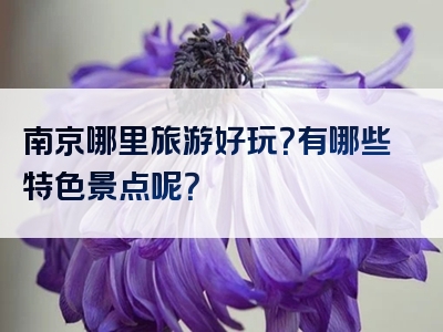 南京哪里旅游好玩？有哪些特色景点呢？