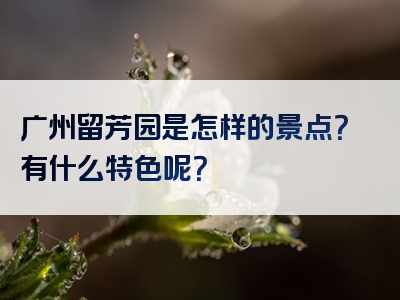 广州留芳园是怎样的景点？有什么特色呢？