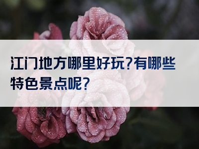 江门地方哪里好玩？有哪些特色景点呢？