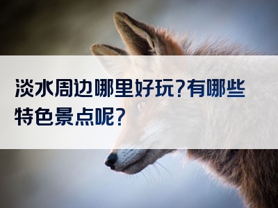 淡水周边哪里好玩？有哪些特色景点呢？