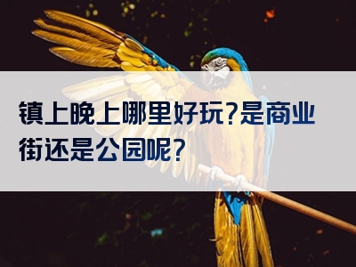 镇上晚上哪里好玩？是商业街还是公园呢？