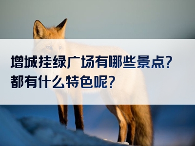 增城挂绿广场有哪些景点？都有什么特色呢？