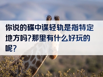 你说的碟中谍轻轨是指特定地方吗？那里有什么好玩的呢？