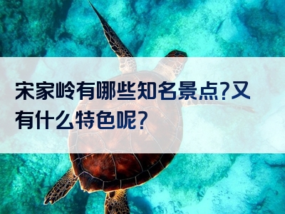 宋家岭有哪些知名景点？又有什么特色呢？