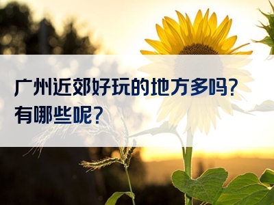 广州近郊好玩的地方多吗？有哪些呢？