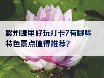 赣州哪里好玩打卡？有哪些特色景点值得推荐？