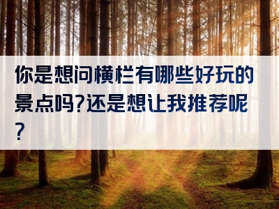 你是想问横栏有哪些好玩的景点吗？还是想让我推荐呢？