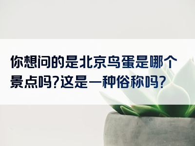 你想问的是北京鸟蛋是哪个景点吗？这是一种俗称吗？
