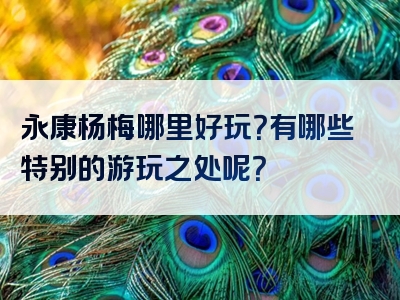 永康杨梅哪里好玩？有哪些特别的游玩之处呢？