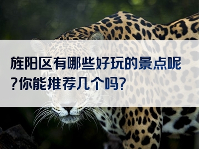 旌阳区有哪些好玩的景点呢？你能推荐几个吗？