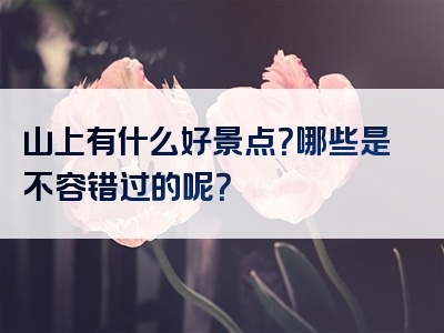 山上有什么好景点？哪些是不容错过的呢？