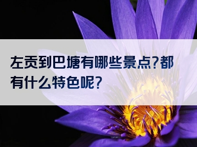 左贡到巴塘有哪些景点？都有什么特色呢？