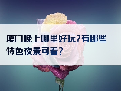 厦门晚上哪里好玩？有哪些特色夜景可看？