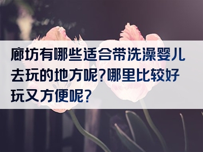 廊坊有哪些适合带洗澡婴儿去玩的地方呢？哪里比较好玩又方便呢？