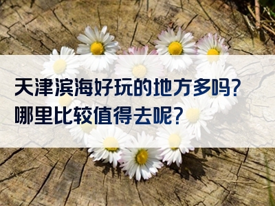 天津滨海好玩的地方多吗？哪里比较值得去呢？