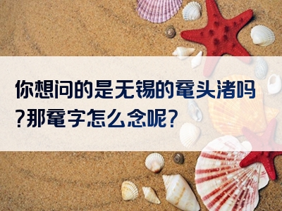 你想问的是无锡的鼋头渚吗？那鼋字怎么念呢？